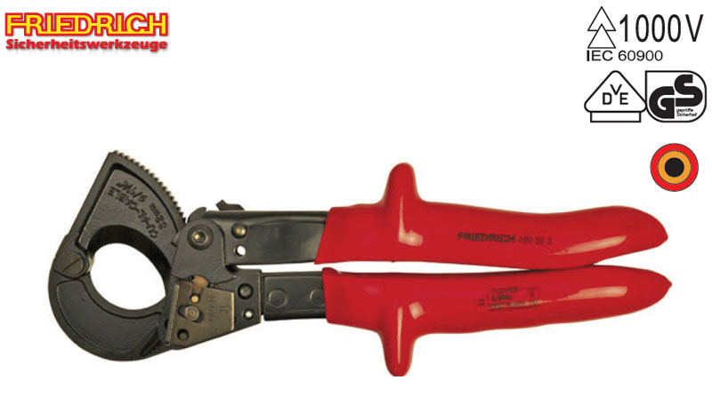 Cleste Friedrich 1000V