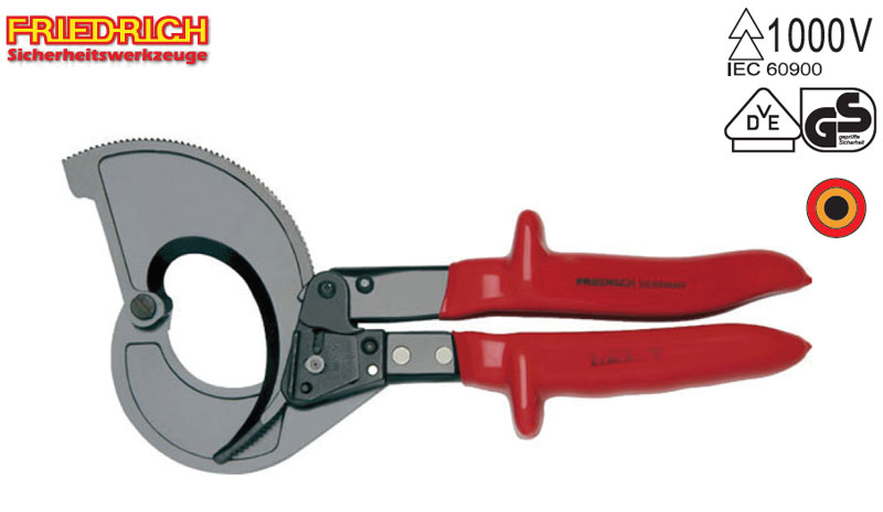 Cleste Friedrich 1000V